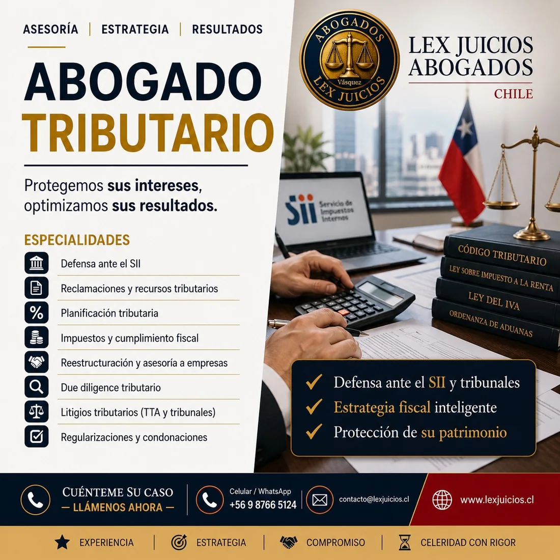 Defensa ante el SII, reclamaciones y recursos tributarios, planificación tributaria, cumplimiento fiscal, due diligence, litigios ante los TTA y regularizaciones. Lex Juicios Abogados, Santiago de Chile.